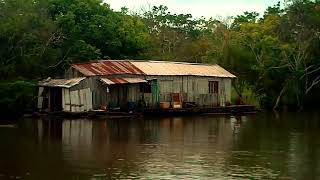 Rio Solimoes Amazonas Brasil [upl. by Atnuahs]