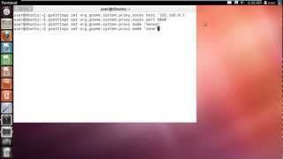 How to Set Proxy in Ubuntu [upl. by Amata]