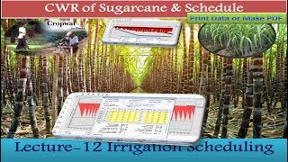 CropWAT 80 CWR of Sugarcane irrigation Scheduling amp Print 12 [upl. by Annua]