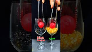 1000°C RHCB vs Black Beans  Corn Oil  Popcorn satisfying experiment science [upl. by Ameluz798]