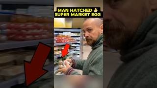 A Man Hatched A Supermarket Egg And Found Something 💔shorts [upl. by Nehgam]