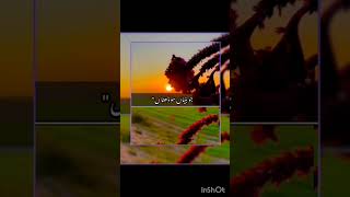 othy amla dy hony ny by nusrat fateh full lyrics youtube shortvideo [upl. by Anehsak839]