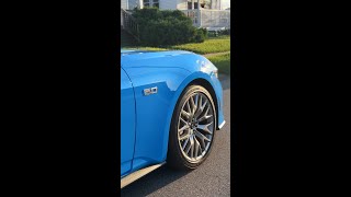 Grabber Blue 2024 Mustang GT shorts [upl. by Sug]