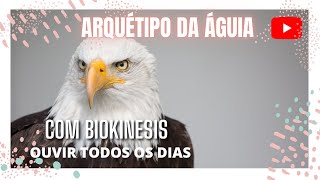 Arquétipo da Águia com biokinesis arquétipoáguia [upl. by Nihcas2]