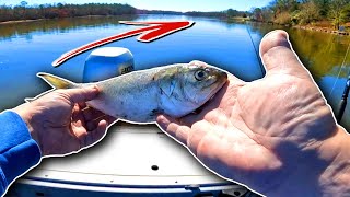 River Fishing on the Nanticoke [upl. by Fonville]