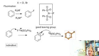 Halogenation of benzene  fluorination and iodination [upl. by Adamec]