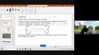 AampP Exam II Review Session F24 [upl. by Sherrer]