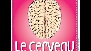 Milmo fonctionnement du cerveau expliqué aux enfants [upl. by Yrdua]