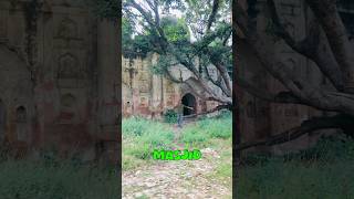 800 SAAL PURANI MASJID MAI AA GYA 😱 shorts minivlog [upl. by Elicul823]