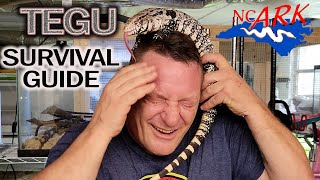 🦎 Argentine Black amp White Tegu CARE GUIDE [upl. by Viking]