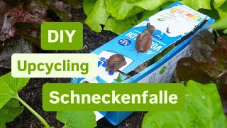 DIY Schneckenfalle 🐌 die auch wirklich FUNKTIONIERT 🤩🐌 Upcycling im Garten 💚 [upl. by Takara]