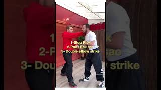 Best Kungfu Self Defense Techniques  NOBODY Can Beat Me [upl. by Spoor]