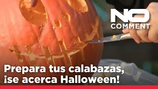 NO COMMENT Prepara tus calabazas ¡se acerca Halloween [upl. by Assenaj]