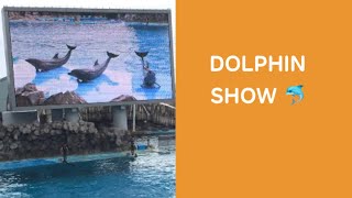 名古屋港水族館 イルカショー DOLPHIN SHOW IN JAPAN  AQUÁRIO DE NAGOYA  SHOW DE GOLFINHOS [upl. by Ellenaej269]