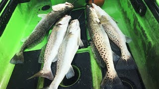 Nueces Bay Speckled Trout Limit  Kayak fishing [upl. by Nadabus]