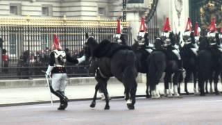 Guard gets Thrown Off His Horse Whilst The Queen Leaves Palace [upl. by Groos200]