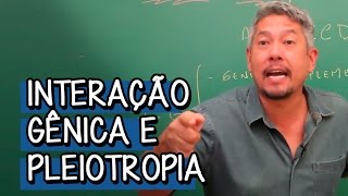 O que é Interação Gênica  Extensivo Biologia  Descomplica [upl. by Archer]