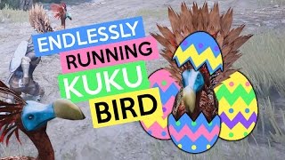 Black Desert  Endlessly Running Kuku Bird [upl. by Ossy276]