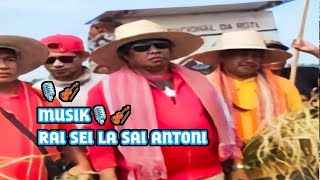 Musik Rai Sei La Sai Antoni No Joao 😂🇹🇱 [upl. by Elnar]