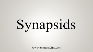 How To Say Synapsids [upl. by Ahcim307]