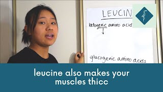 Leucine ft Ketogenic and Glucogenic Amino Acids [upl. by Nightingale]