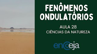 CIÊNCIAS DA NATUREZA  AULA 28  ONDA O QUE SÃO E TIPOS [upl. by Bach90]