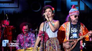 The Spirit of Tengri 2015  Baba Zula LIVE [upl. by Rodie]