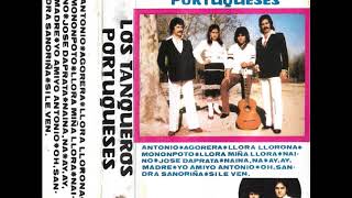 Los Tangueros Portugueses  Oh Sandra Sañoriña [upl. by Orrin903]