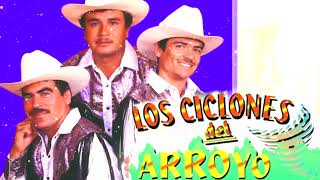 LOS CICLONES DEL ARROYO  10 Grandes Exitos  Disco Completo [upl. by Yorick]