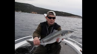 Flyfishing for Western Australias Giant Salmon [upl. by Anesusa495]