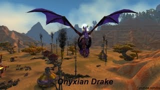 Mount Onyxian Drake  World of Warcraft [upl. by Ahaelam]