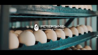 Petersime Corporate Video Portuguese Version [upl. by Haya]