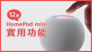 HomePod mini 只播音樂太可惜了！這 12 個功能太實用了 😉｜塔科女子 [upl. by Sirtimed]