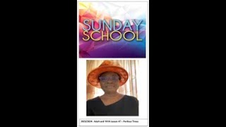 Adult and YAYA Sunday School Lesson 47  Perilous Times [upl. by Uhile]