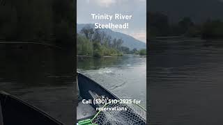 Trinity River Steelhead 2025 [upl. by Vange992]