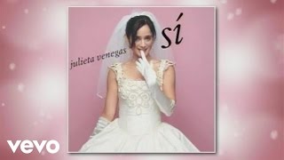 Julieta Venegas  Alguien Cover AudioVideo [upl. by Anaet898]