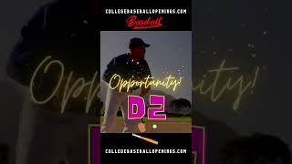 NCAA D2 OPPORTUNITIES FOR UNCOMMITTED BASEBALL PLAYERS – ALL POSITIONS 2025 baseballrecruiting [upl. by Nehttam]