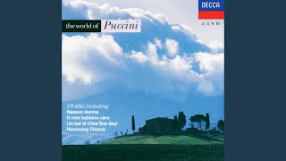 Puccini Madama Butterfly  Act 2 quotUn bel dì vedremoquot [upl. by Perle]