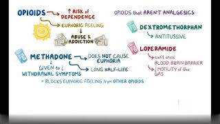 Opioid agonists mixed agonist antagonists and partial agonist Pharmacology [upl. by Ellehsem61]