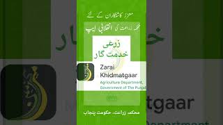 Zarai Khidmatgar App  زرعی خدمت گار ایپ  محکمہ زراعت، حکومت پنجاب [upl. by Elleirad]