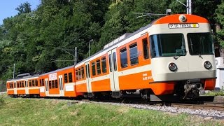 FLP Ferrovie Lugano  PonteTresa Rames automotrices Be 48 4142 amp Be 412 2125 [upl. by Jarlen]