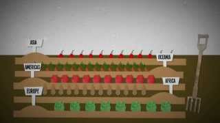 What is food insecurity An explanation [upl. by Aneres741]