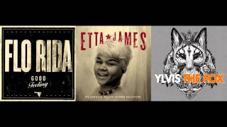 The Fox vs Good Feeling Mashup  Ylvis vs Flo Rida feat Etta James [upl. by Nyllewell]