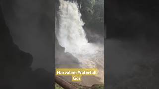 Bestest Harvalem waterfalls Goa😍🌦 goainmonsoon waterfallsingoa waterfall harvalemwaterfall😍🔥🔥 [upl. by Rolyab]