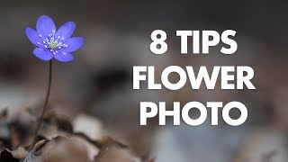 My 8 Best Tips for Flower Photography [upl. by Eiuqnimod903]