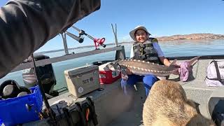 October sturgeon fishing [upl. by Nama]