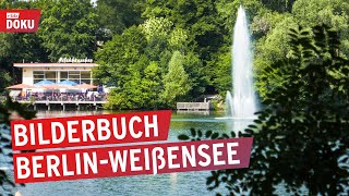 Bilderbuch BerlinWeißensee [upl. by Rehtae]