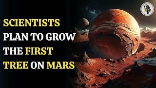 Scientists Plan to grow the first tree on mars  WION Podcast [upl. by Bela]