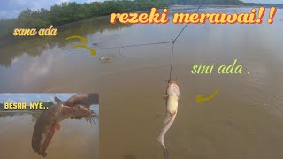 MERAWAI WAKTU AIR PASANG BESAR⁉️BESAR² IKAN SEMBILANG TERCIDUK [upl. by Eddie]