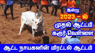 கரூர் வெள்ளை இன்று மாஸ் ஆட்டம் 2023ல் முதல் வெறித்தனமான ஆட்டம் Tamizhan Trending [upl. by Alleiram82]